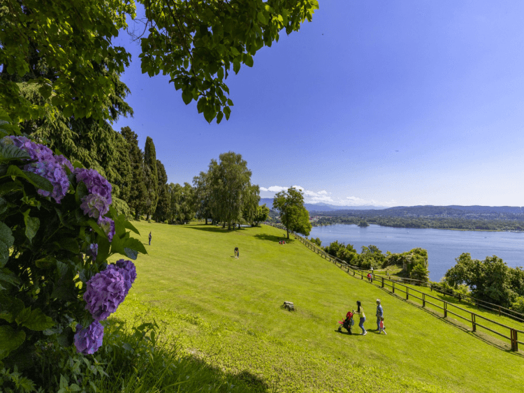 Travel image 11
