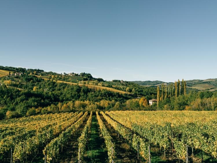 Travel image 31